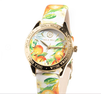 Orologio Isola Bella Donna in Acciaio 40000128